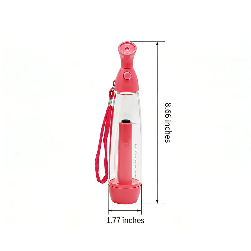 Hand Pump Spray Bottle