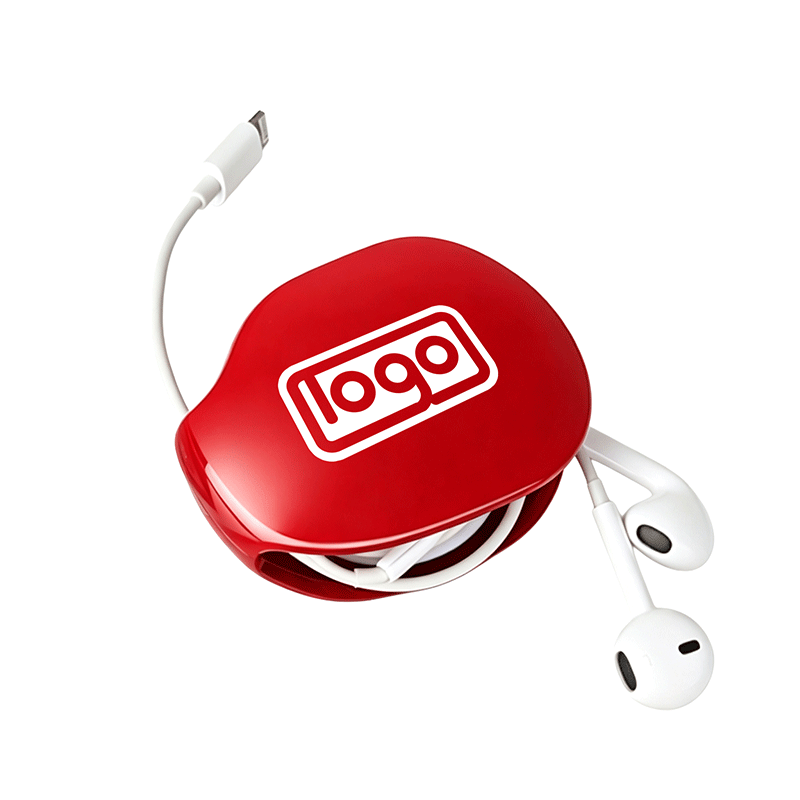 Earphone Storage